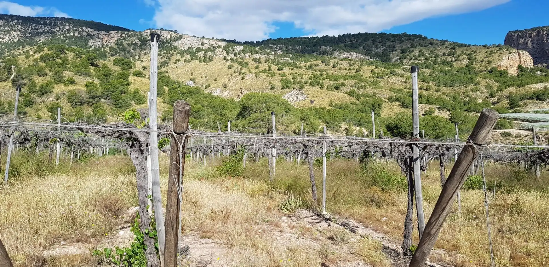 Casa o chalet en venta en Aledo con Terraza y Trastero