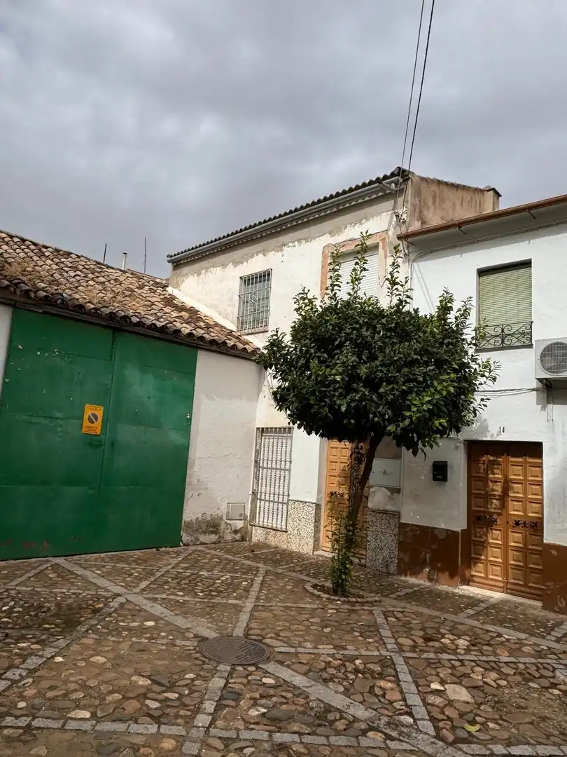 Exterior view of Houses for sale in Villa del Río  with Private garden, Terrace and Storage room