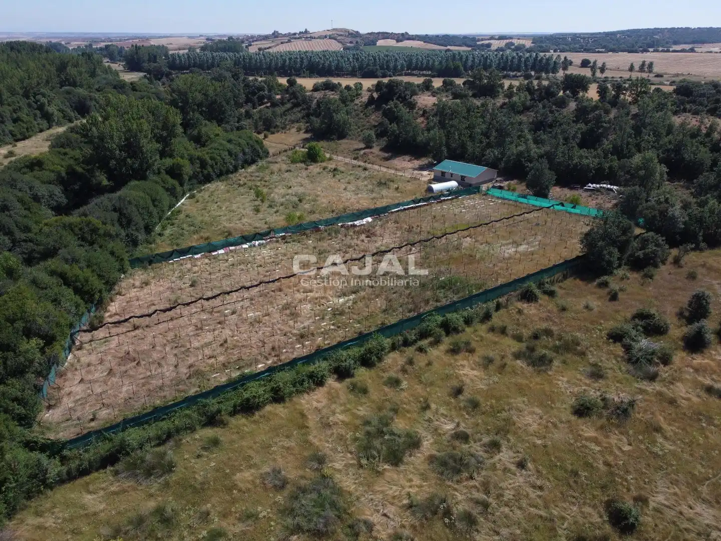 Terreno en venta en Fresno de Cantespino