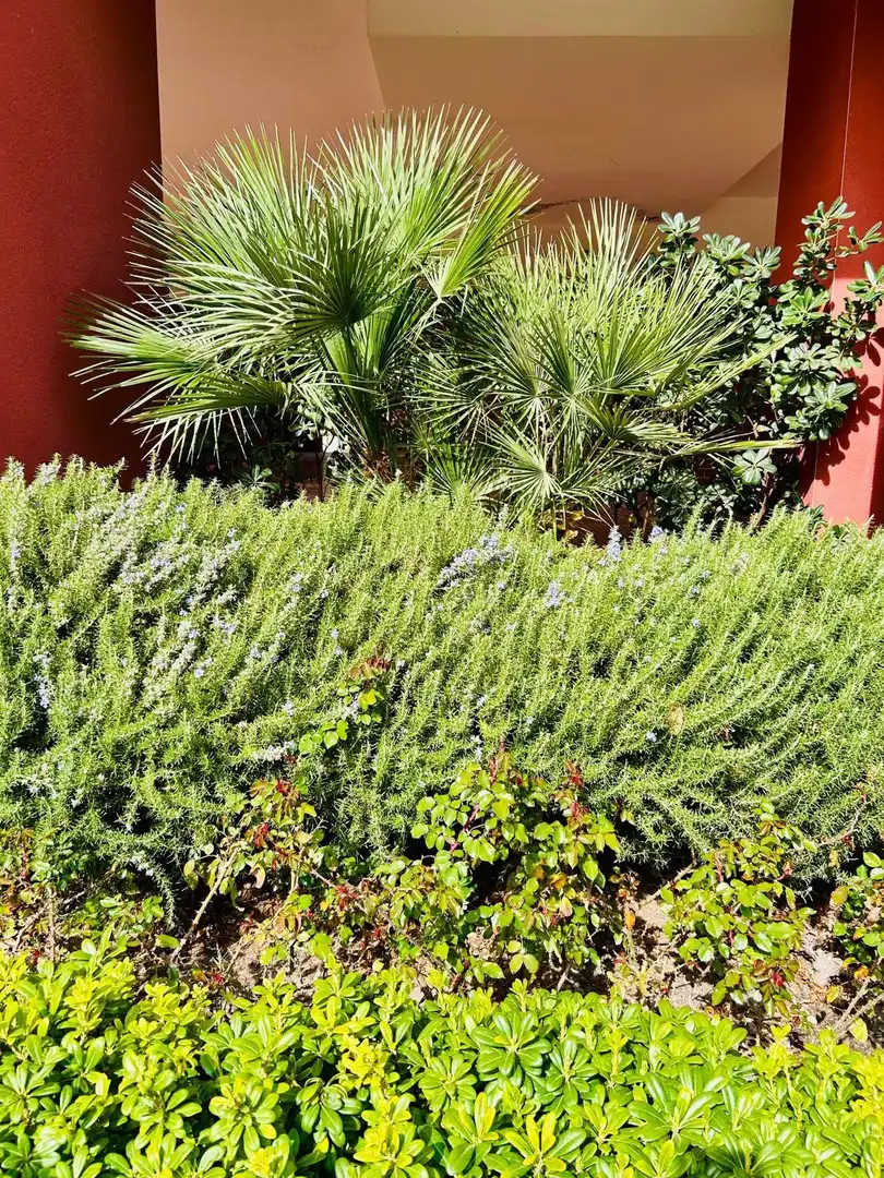 Jardí de Pis en venda en Alicante / Alacant amb Aire condicionat, Jardí privat i Moblat