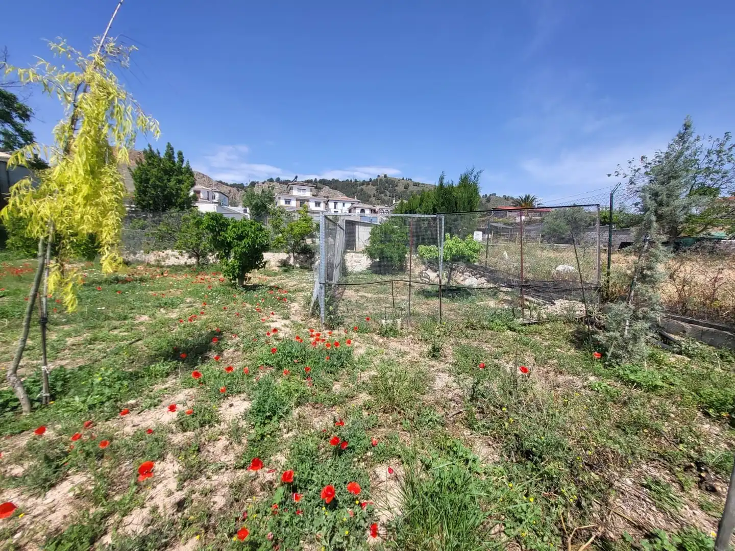 Terrenos y solares en venta en El Torreón - Cortijo Pretel, imagen 13