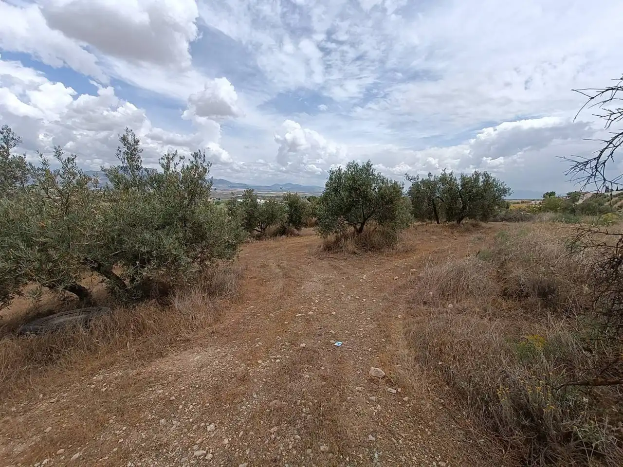 Rural land for sale in Moraleda de Zafayona, imagen 9