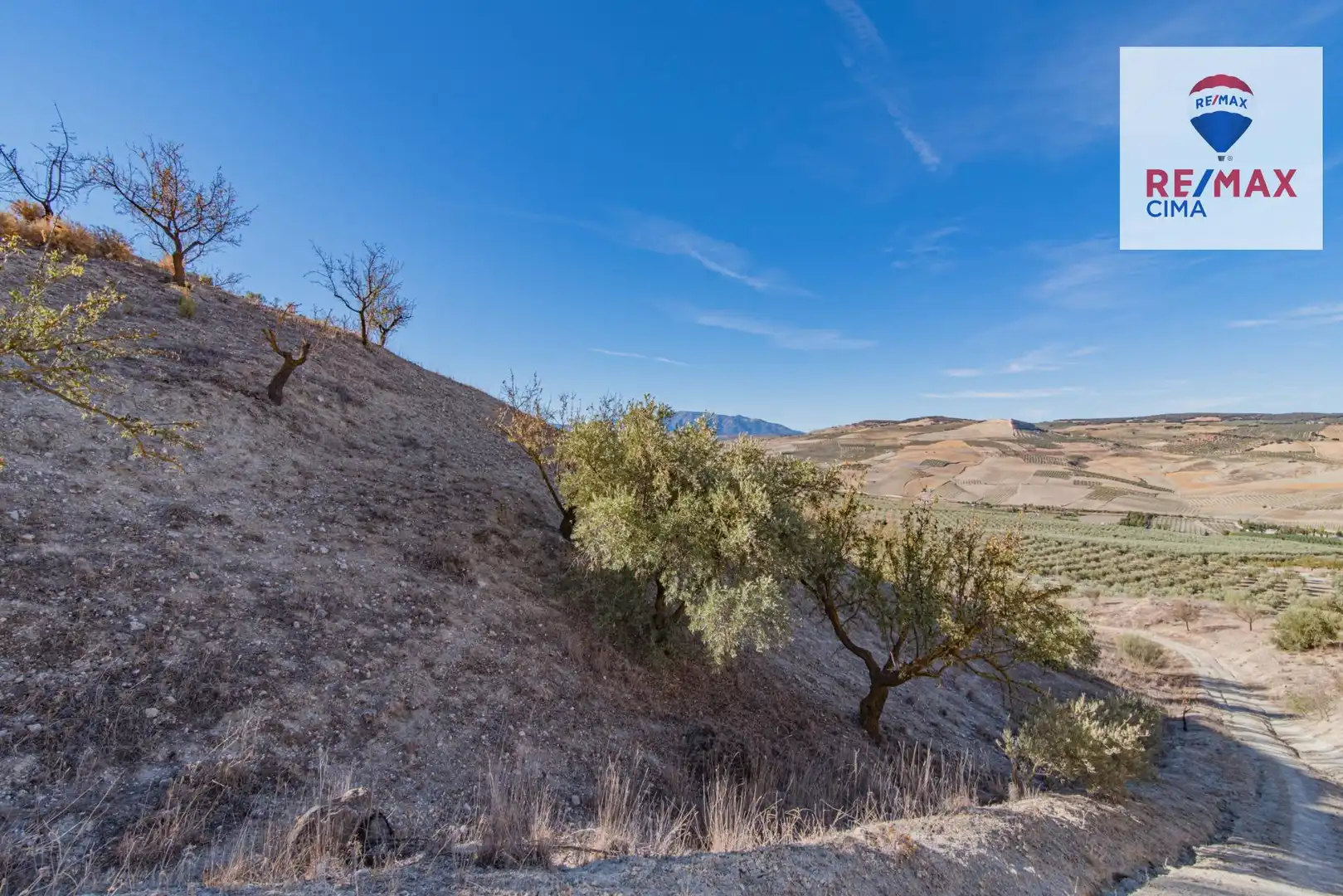 Terreno en venta en Santa Cruz del Comercio