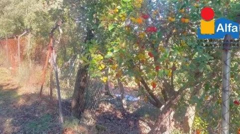 Terreno en venta en LA MONTAÑA  Cáceres Cáceres, imatge 2