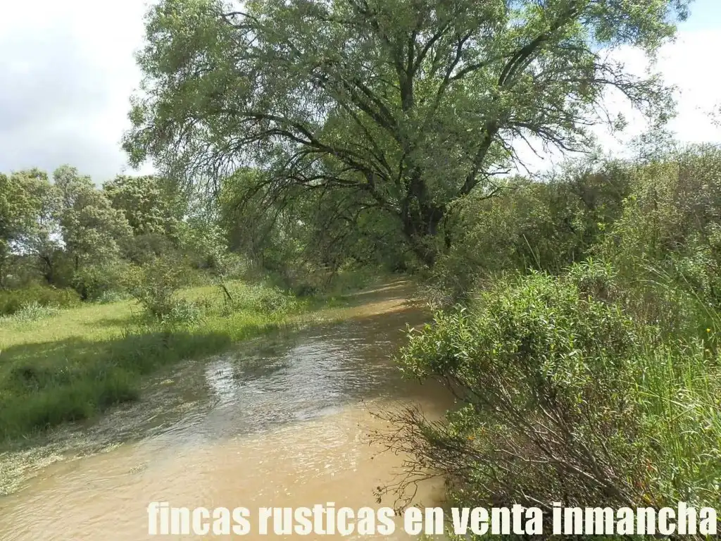 Terreno rústico en venta en Abenójar, imagen 18