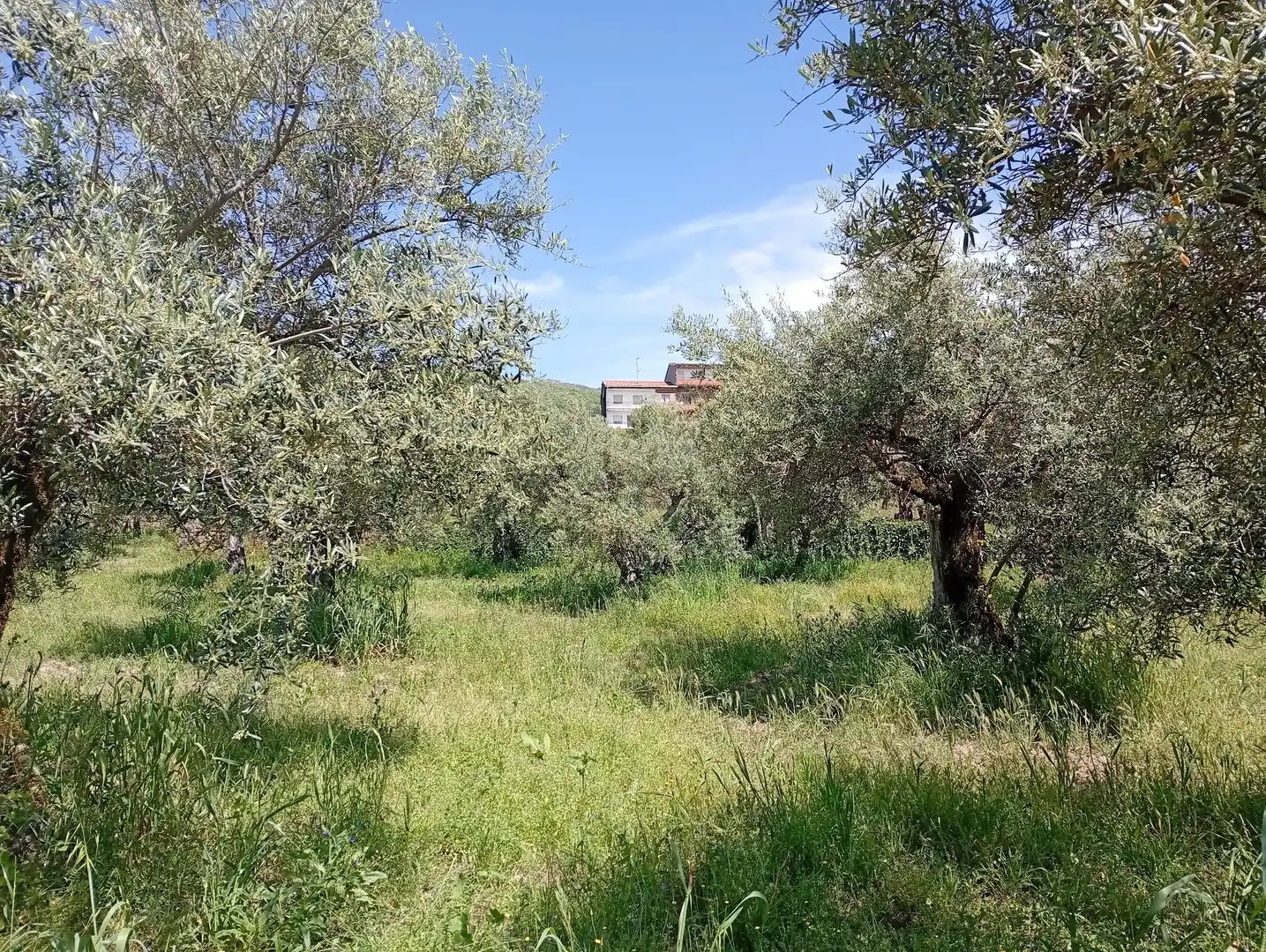 Terreni e lotti in vendita a Villanueva de la Vera, imagen 72