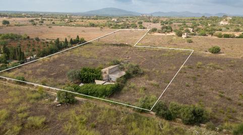 Photo 2 of Land for sale in Sa Gruta, Manacor Centre, Manacor