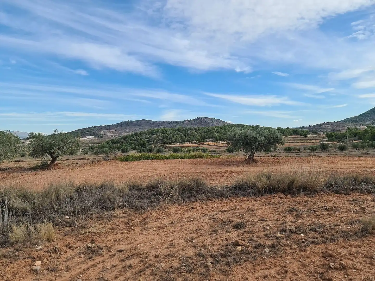 Terreny residencial en venda a El Pinós / Pinoso, imagen 5