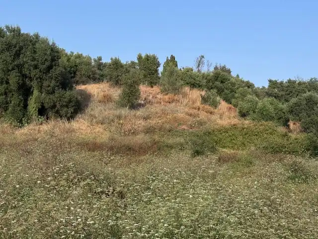 Terreny rústic en venda a San Pedro de Alcántara, imagen 2