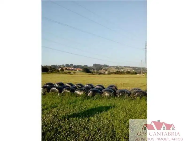 Lands and plots for sale in Reocín, imagen 3