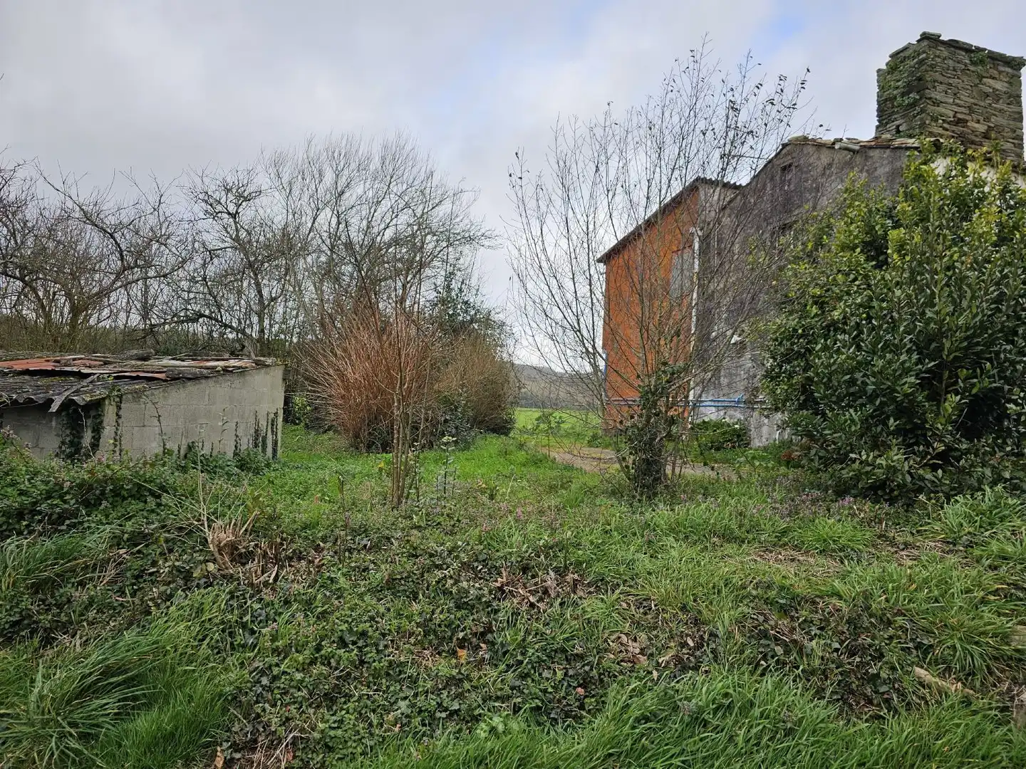 Finca rústica en venta en Abegondo