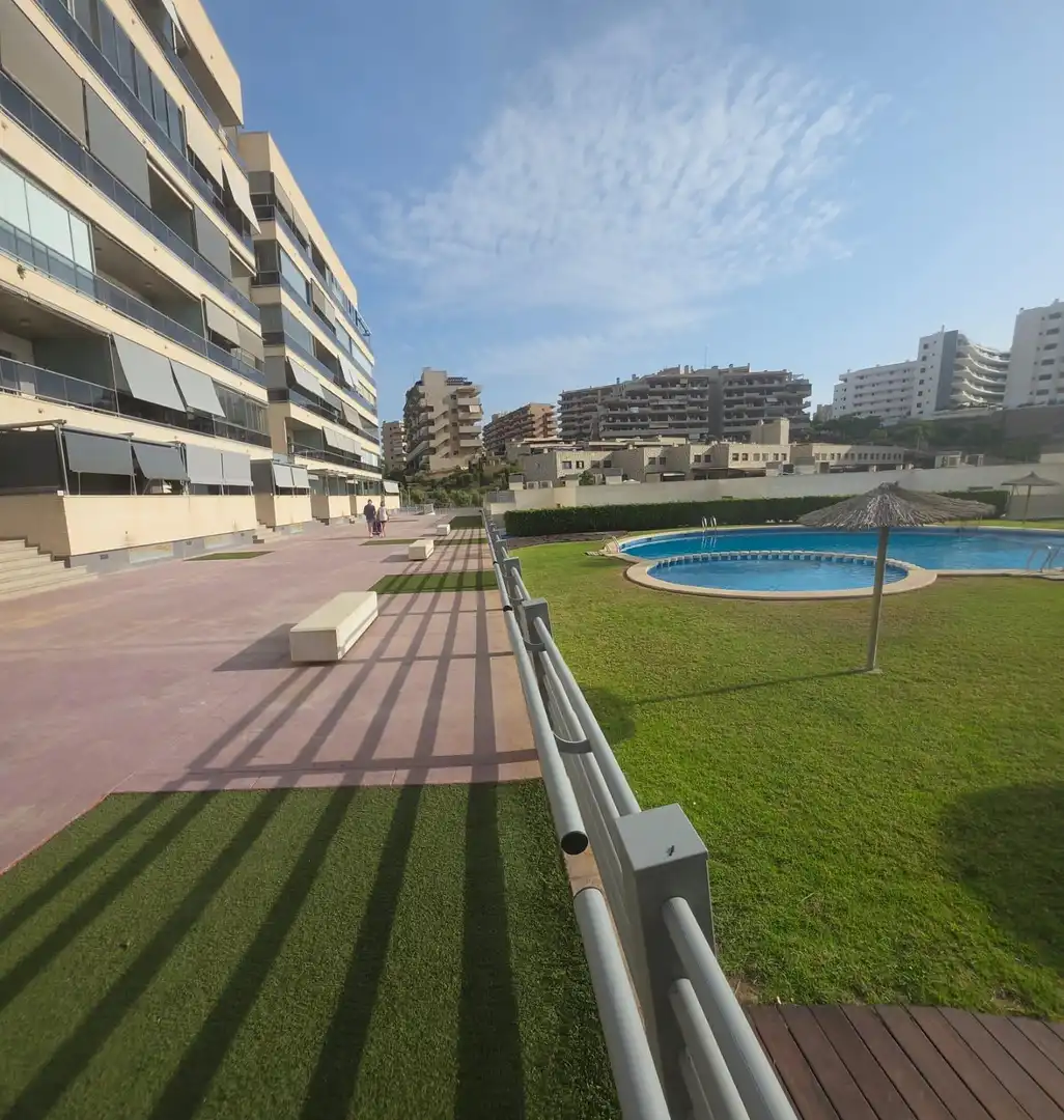Swimming pool of Flat for rent in Elche / Elx  with Air Conditioner, Balcony and Community pool