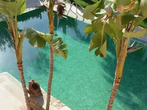 Chalet con piscina en venta en Altorreal - El Chorrico, imagen 44