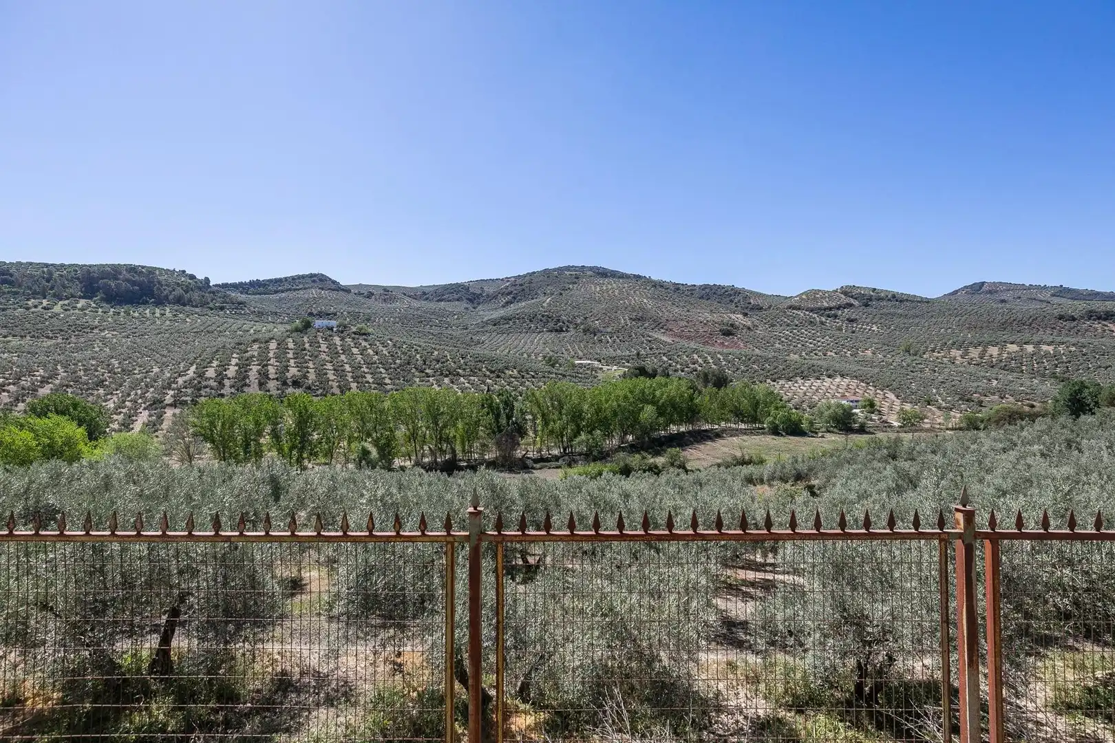 Jardín de Finca rústica en venta en Montefrío con Calefacción, Jardín privado y Terraza