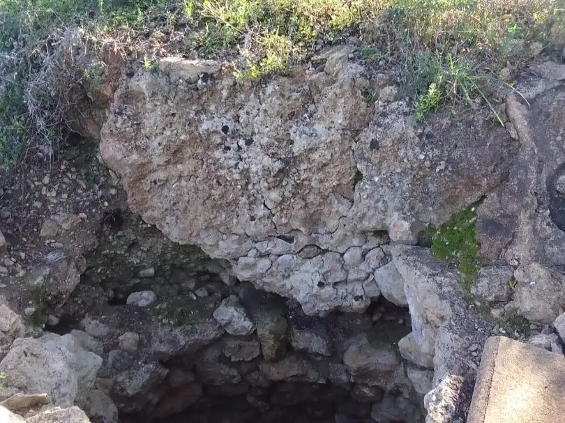 Terreno rustico in vendita a Son Manera 9, imagen 4