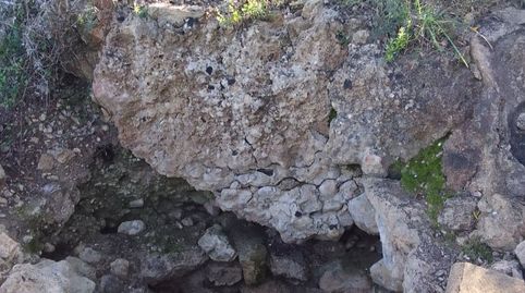 Terreno rustico una preciocidsd, imatge 4