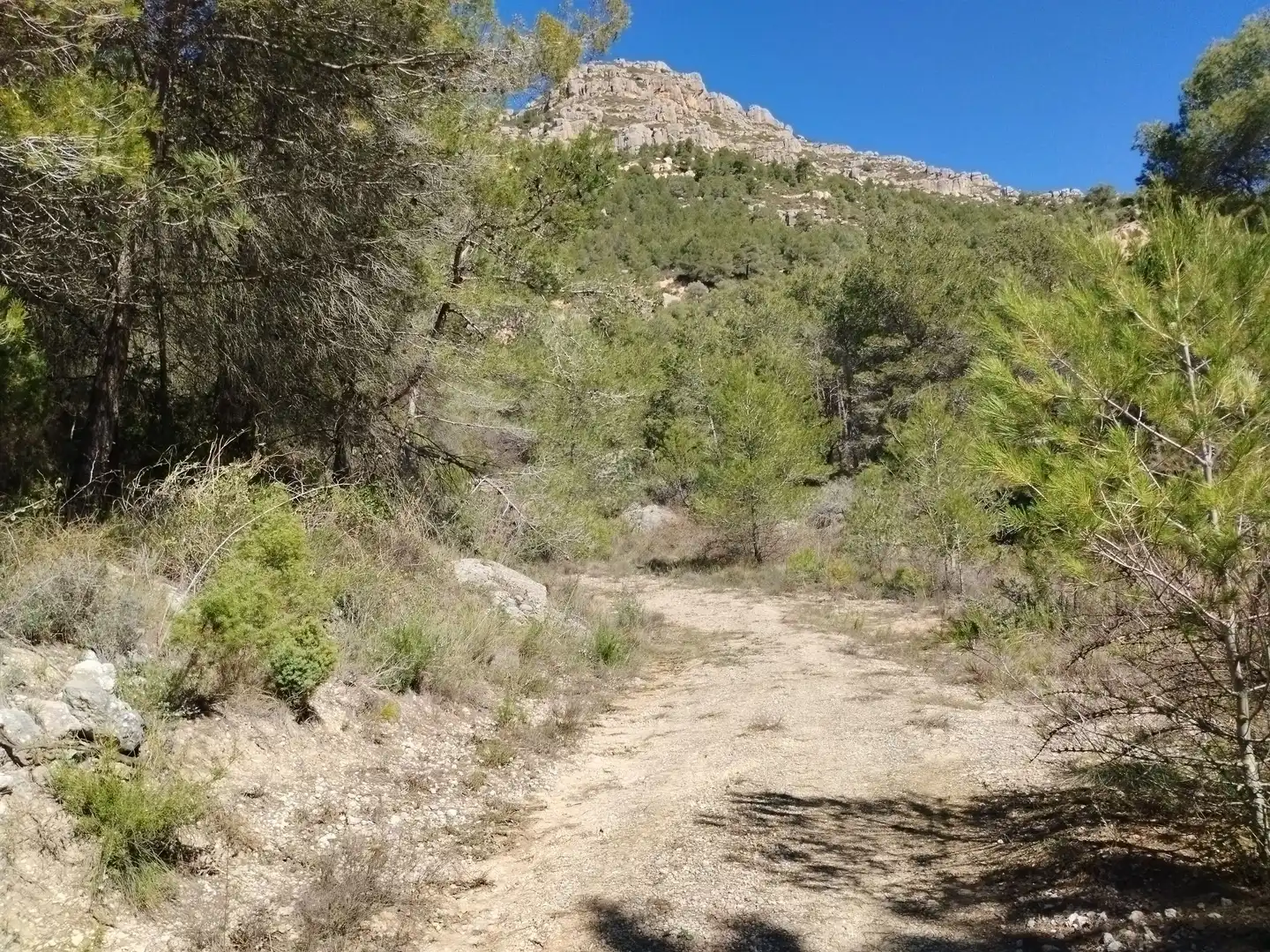 Terreno en venta en La Morera de Montsant
