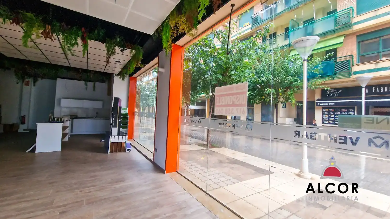 Local comercial en alquiler en Puerto, imagen 2
