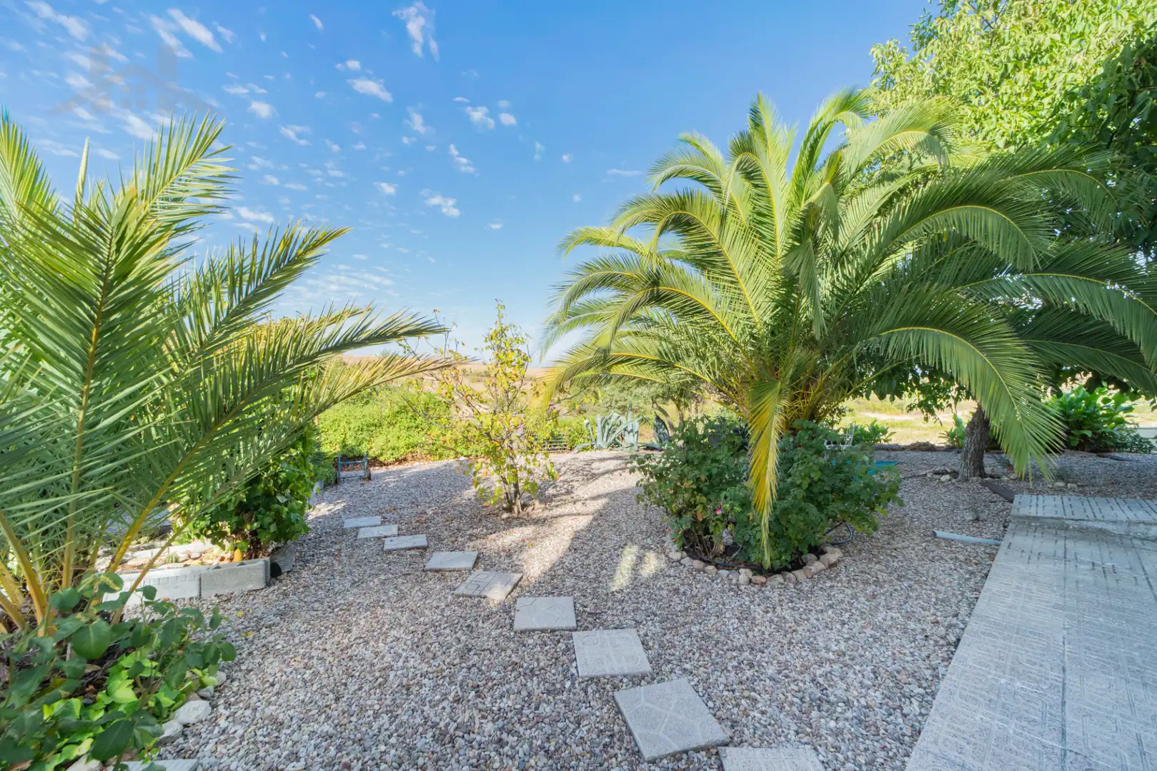 Villa avec terrasse à vendre à Calypo Fado, imagen 13