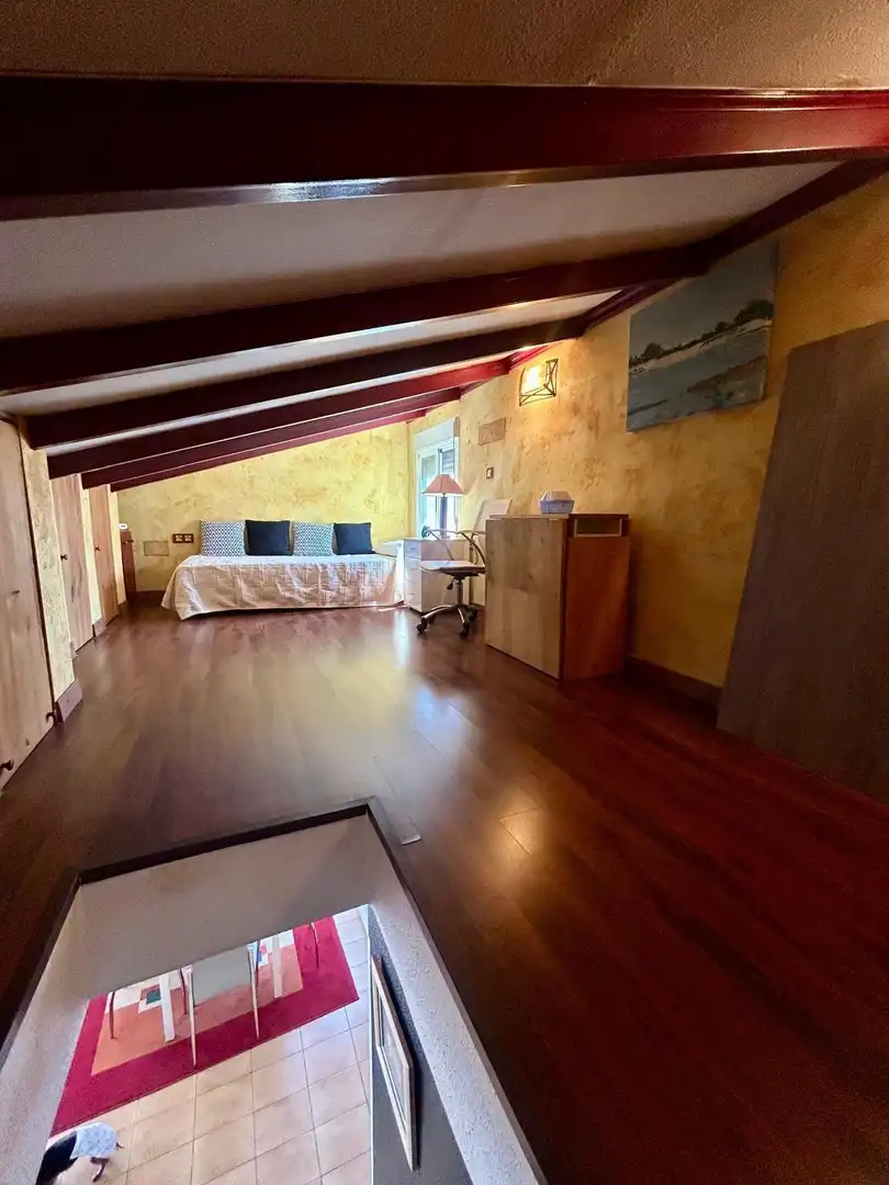 Penthouse with terrace for sale in Avenida Avenida Don Juan de Austria, imagen 16