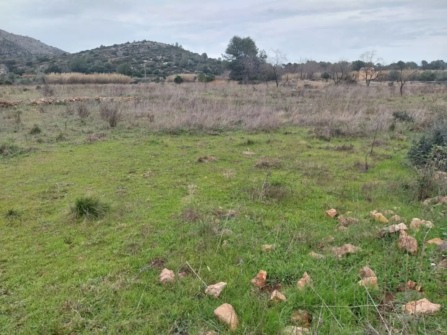 Rural land for sale in Partida la Falaguera, imagen 3