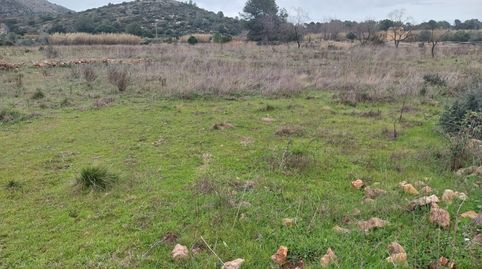 Terreno rustico en Barx, immagine 3
