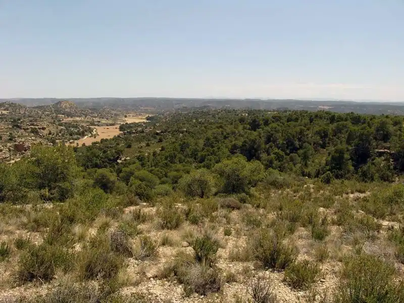 Finca rústica en venta en Alcañiz