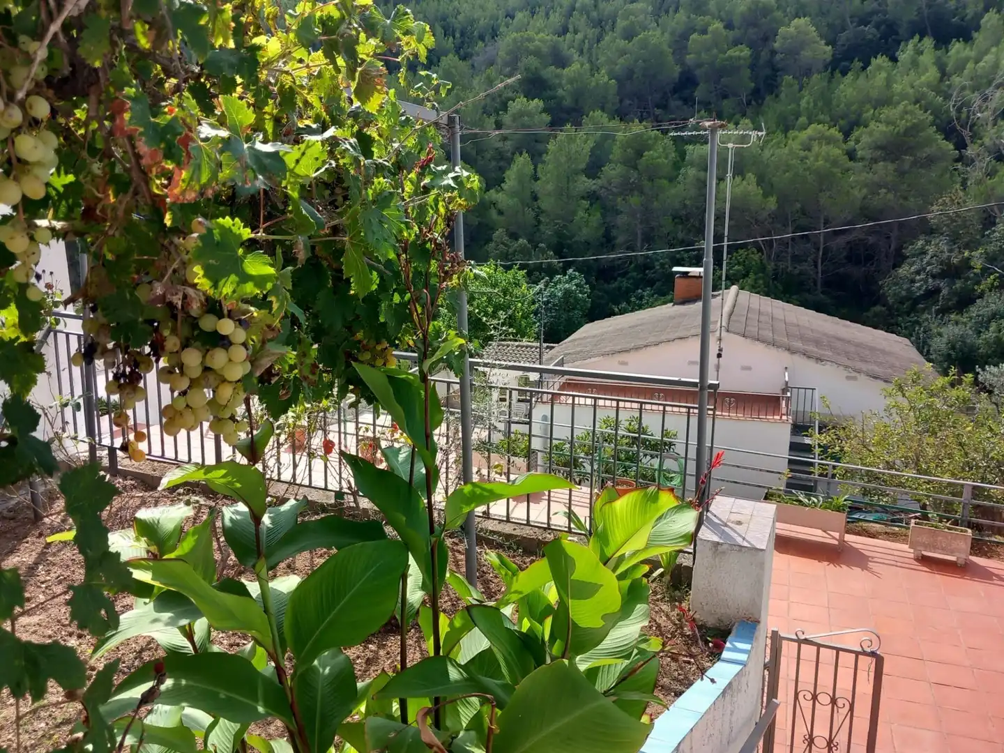 House with pool for sale in Torrelles de Foix, imagen 62