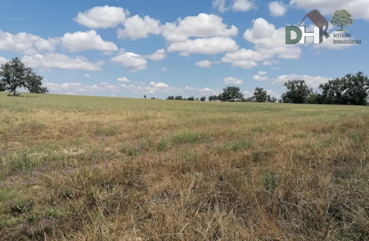 Lands and plots for sale in Barrio Blanco, imagen 4