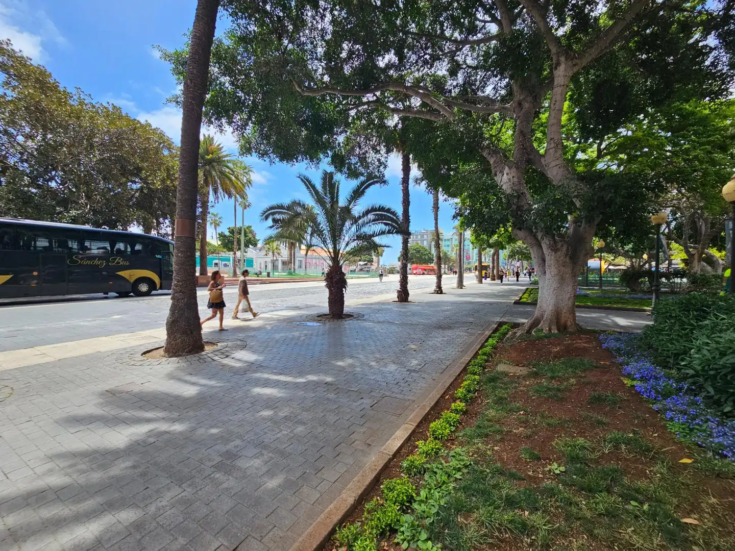 Vista exterior de Piso de alquiler en Las Palmas de Gran Canaria con Aire acondicionado, Parquet y Balcón