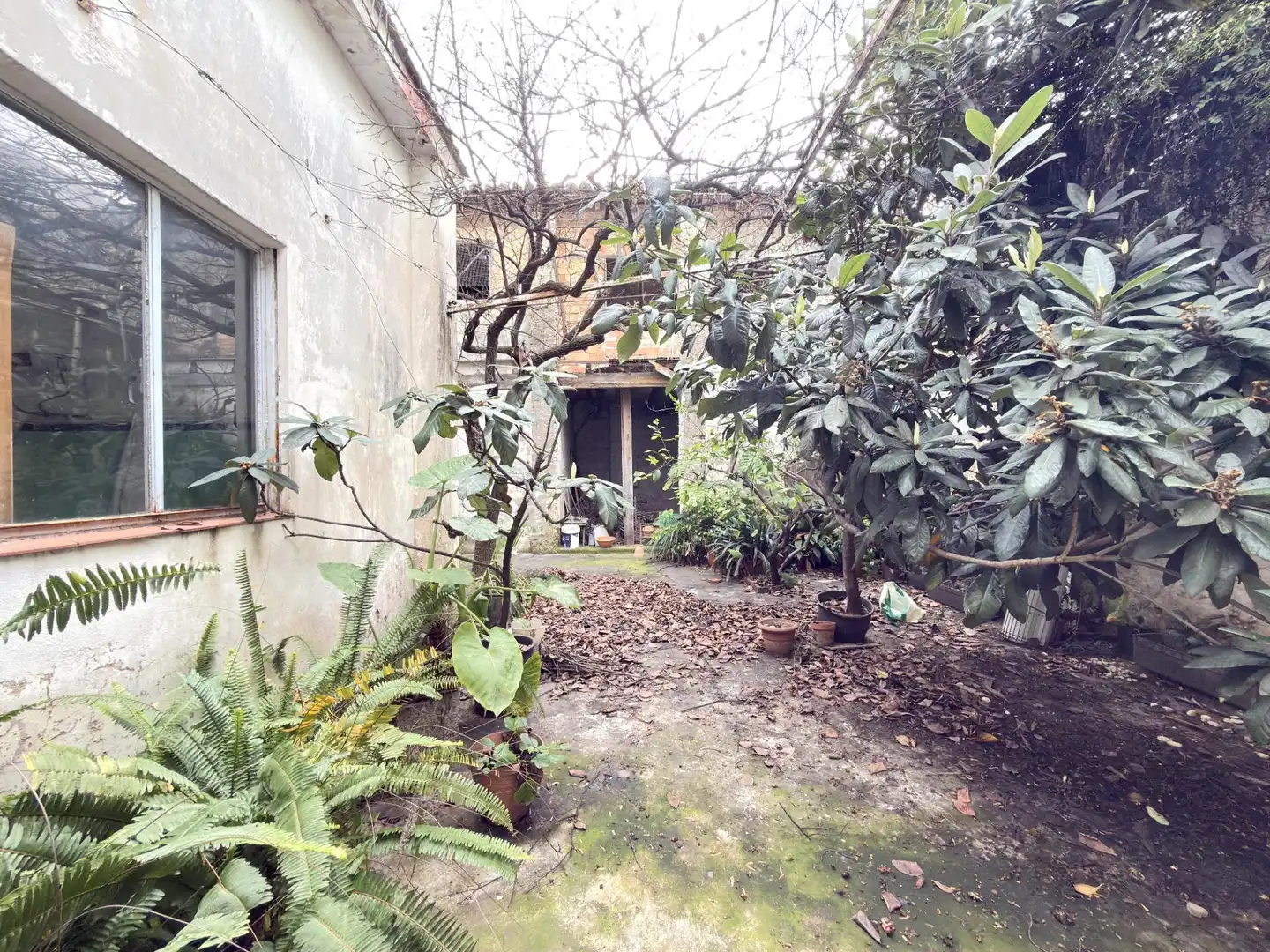 Casa en venda a Centro Ciudad, imagen 20