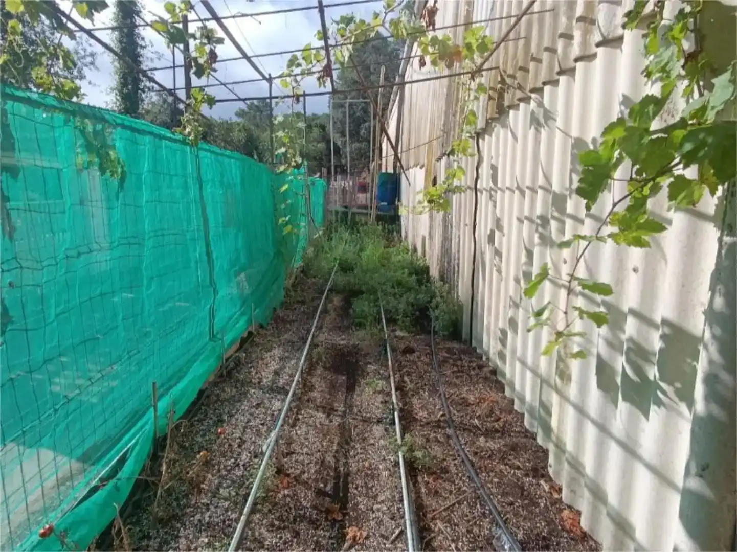 Jardí de Nau industrial en venda en Cerdanyola del Vallès
