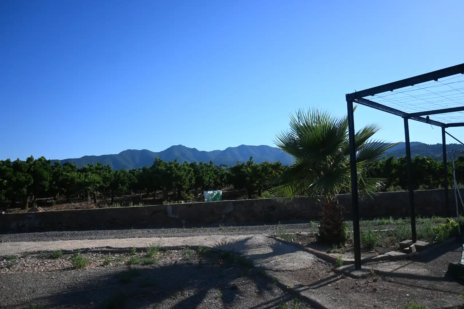 Vista exterior de Casa o xalet en venda en Betxí amb Jardí privat, Terrassa i Piscina