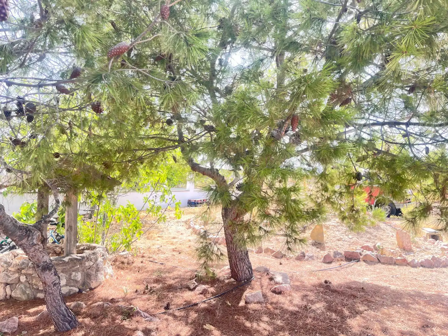 Finca rústica en venta en Novelda con Aire acondicionado, Calefacción y Jardín privado
