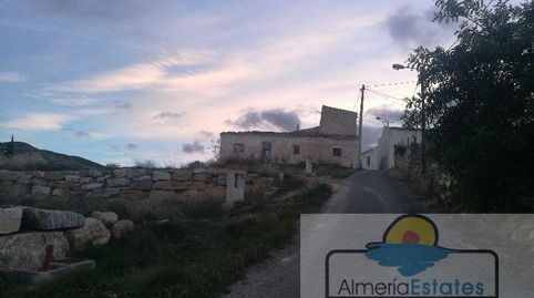 ArboleasTerreno, immagine 3