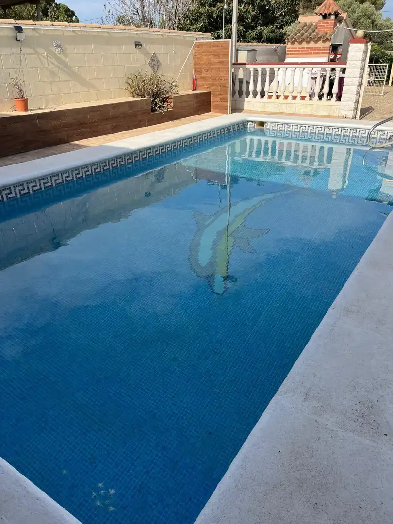 Schwimmbecken von Country house zum Verkauf in Chiclana de la Frontera mit Privatgarten, Abstellraum und Schwimmbad