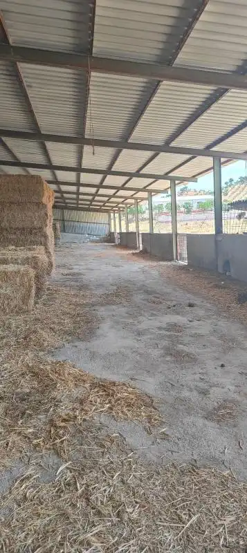 Casa rústica amb jardí en venda a Calle Hijas de la Caridad, imagen 28