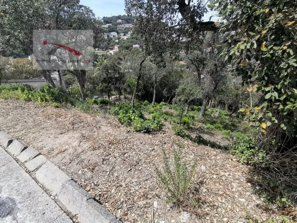 Terreno residencial en venta en Calle Avets 7, imagen 5