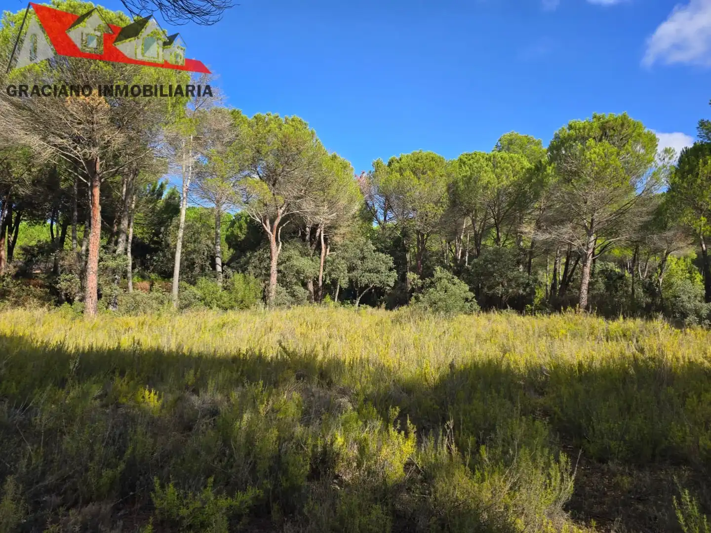 Terreno residenziale in vendita a Pedanías - Extrarradio, imagen 7