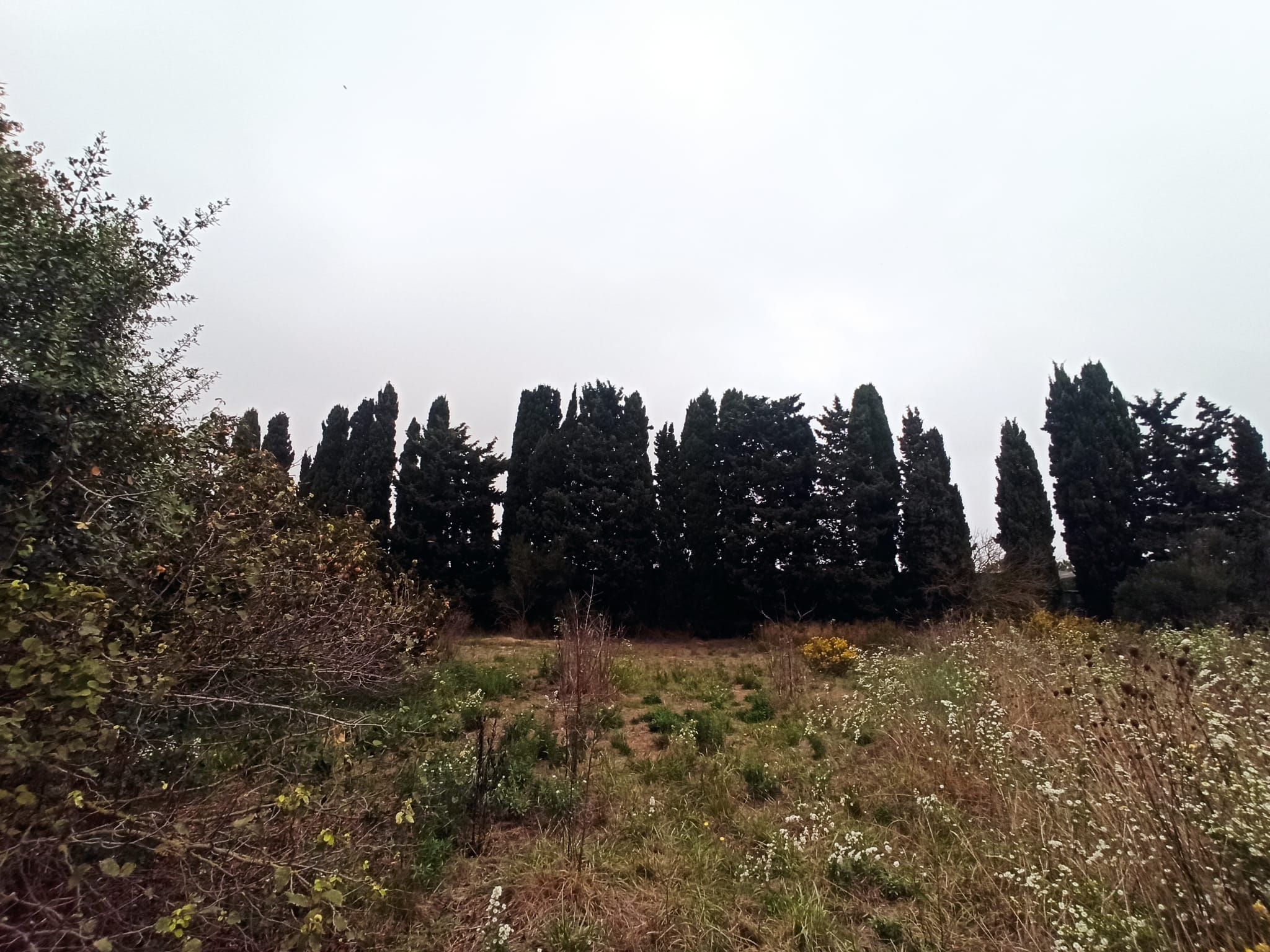 Land for sale in L'Armentera