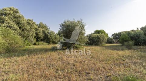 Foto 2 de Residencial en venda a Eurovillas, Madrid