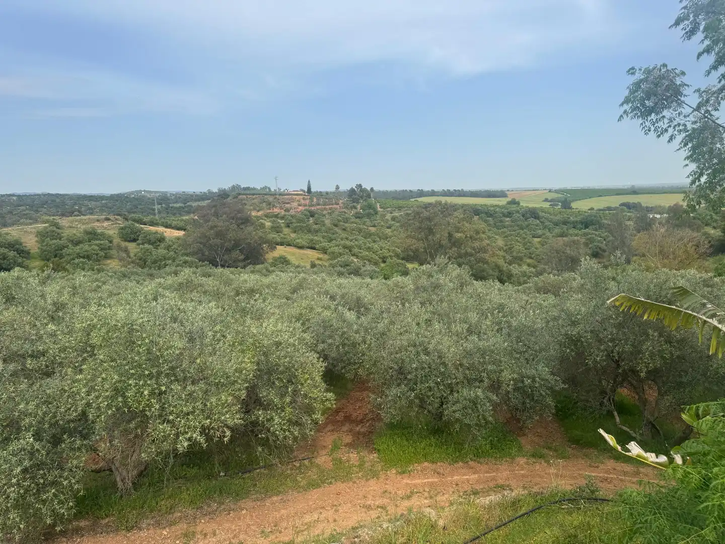 Finca rústica en venda en Cantillana amb Terrassa