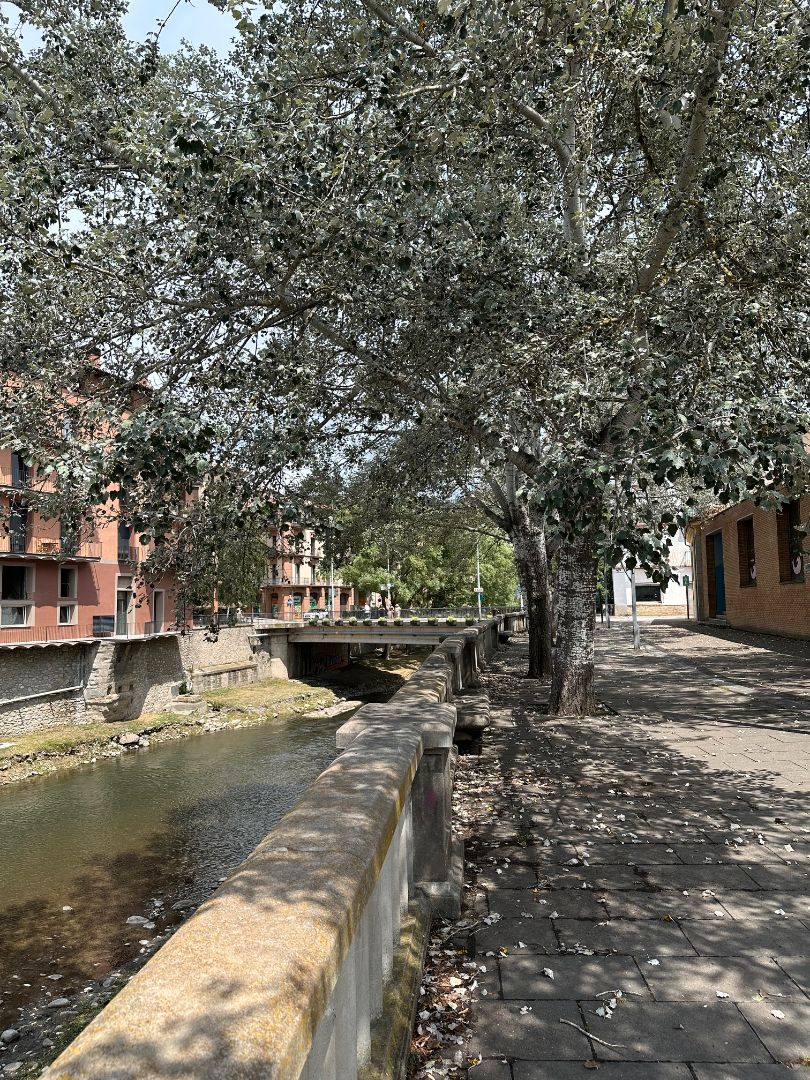 Vista exterior de Pis en venda en Ripoll