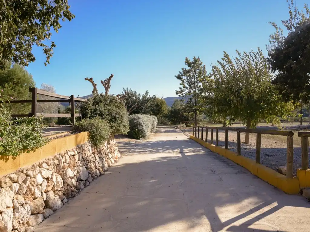 House for sale in Camí Pla de Lloret, imagen 86