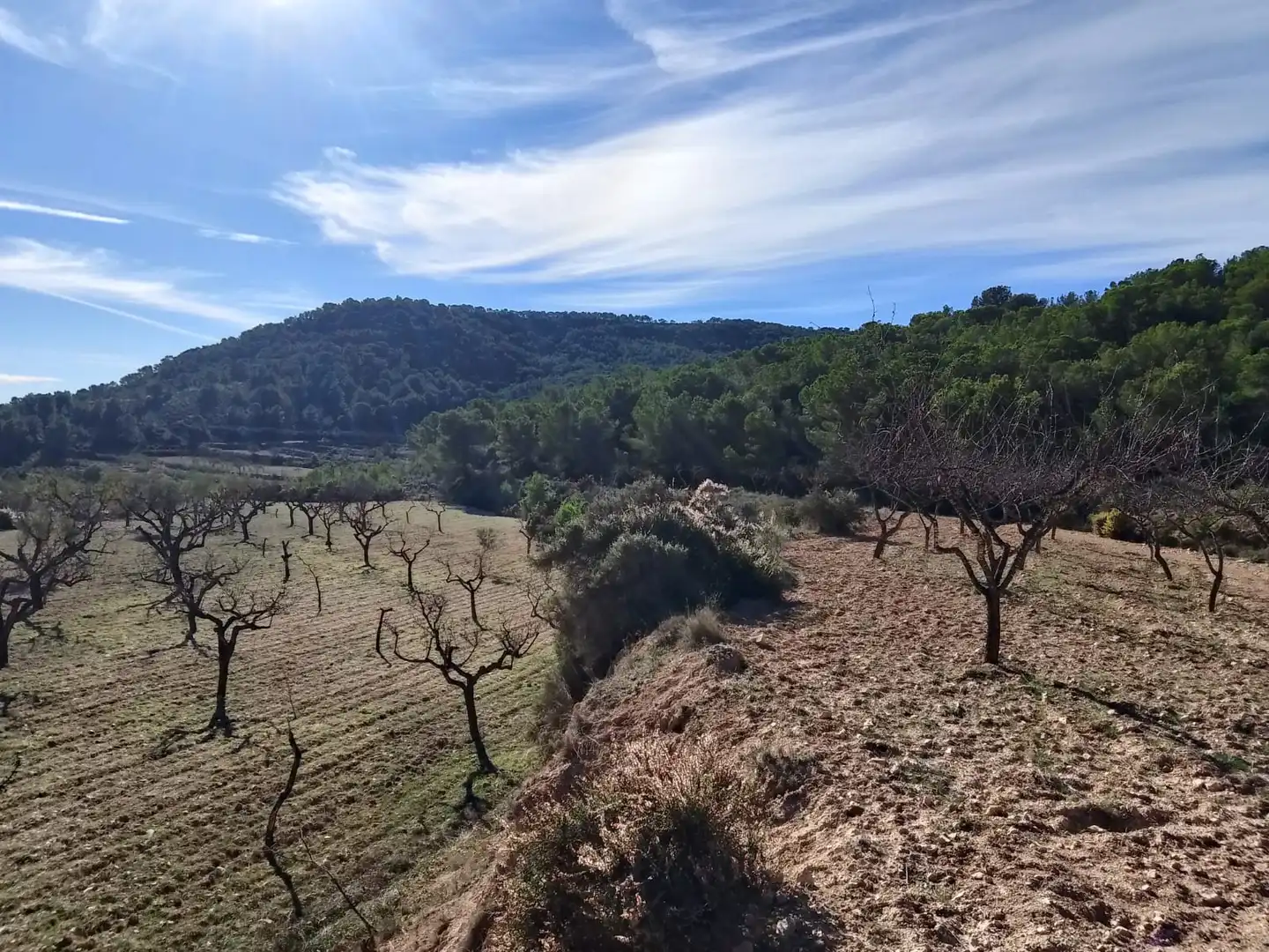 Terreno rustico in vendita a Carrer la Creu, imagen 18