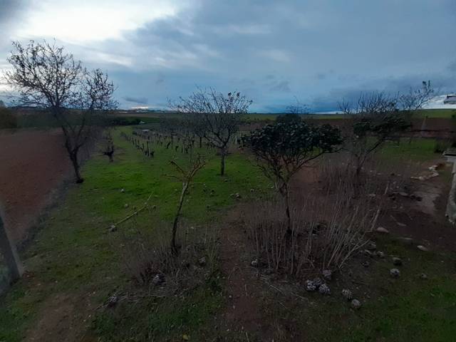 Terreno en Venta en Valcabado