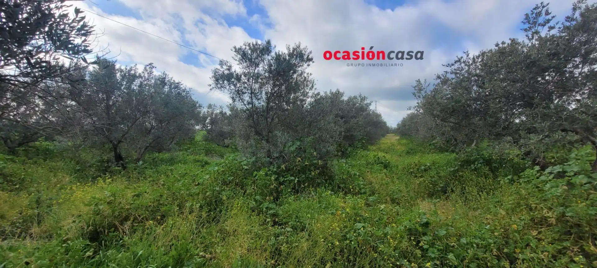 Houses for sale in El Viso