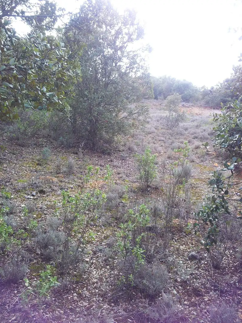 Terrenos y solares en venta en Hontoba, imagen 8