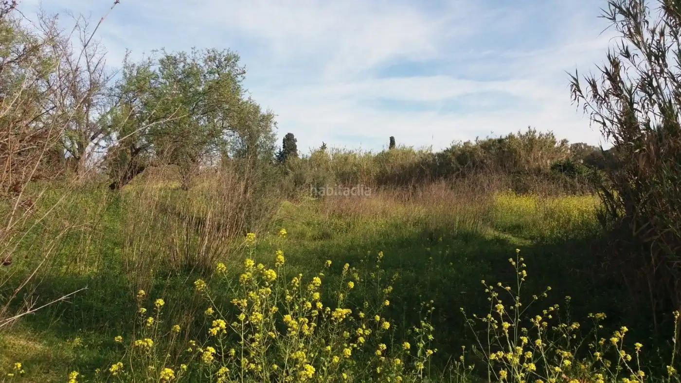 Terreni e lotti in vendita a Calle Rebujina 28