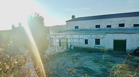 FINCA DE OLIVOS,  110 FANEGAS  DE 1 PATA.  2 POSOS Y CORTIJO., immagine 3